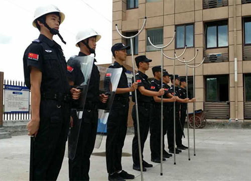 某企业执勤亚洲精品水蜜桃人力水蜜桃视频下载